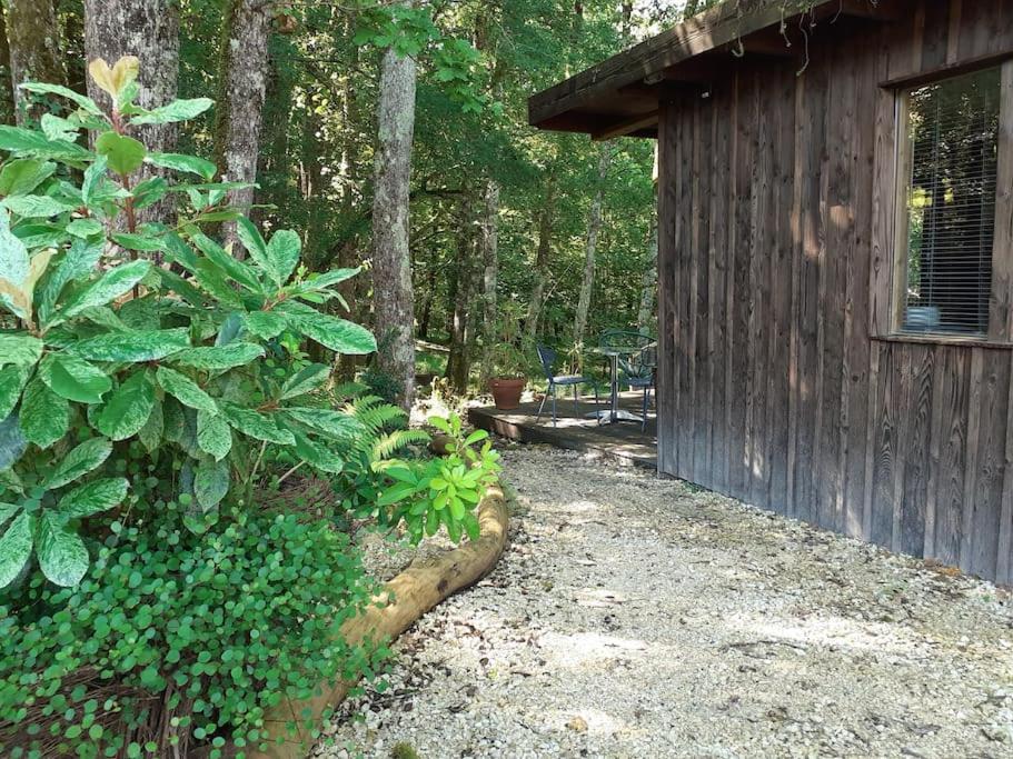 Le Gite De La Cabane De L'Oiseau Couze-et-Saint-Front Eksteriør billede