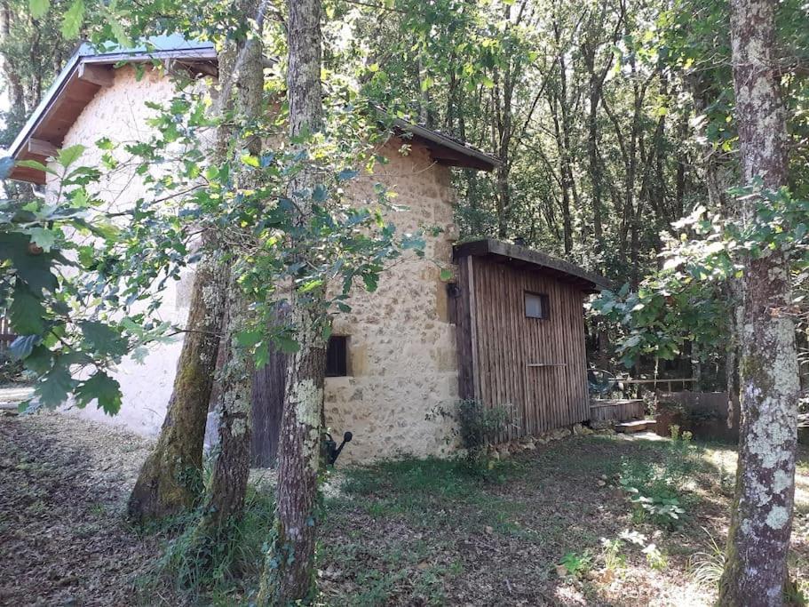 Le Gite De La Cabane De L'Oiseau Couze-et-Saint-Front Eksteriør billede